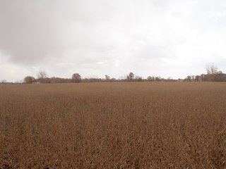 Property photo 13 - 97 +/- Acres Tillable Land Auction